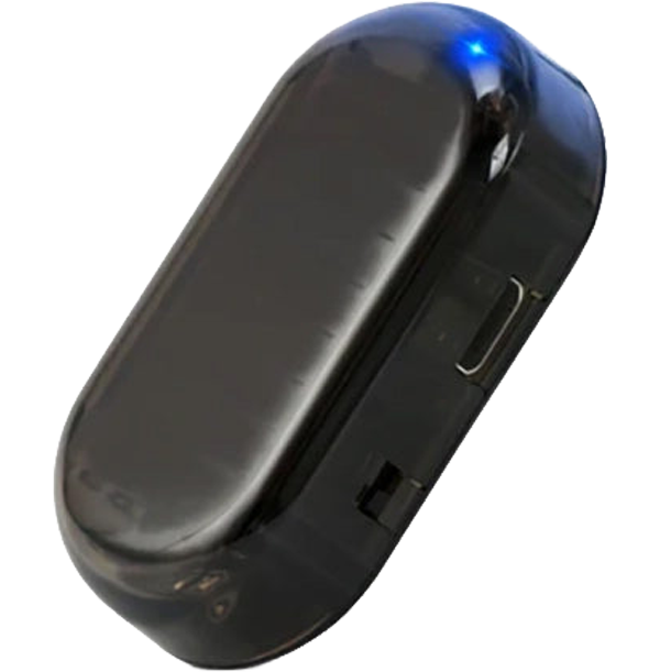 Avaleric® Anti-theft Car Flashing LED Fake Alarm