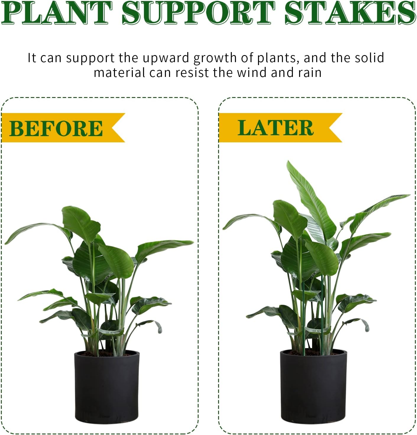 Avaleric® Stem Plant Support Stakes