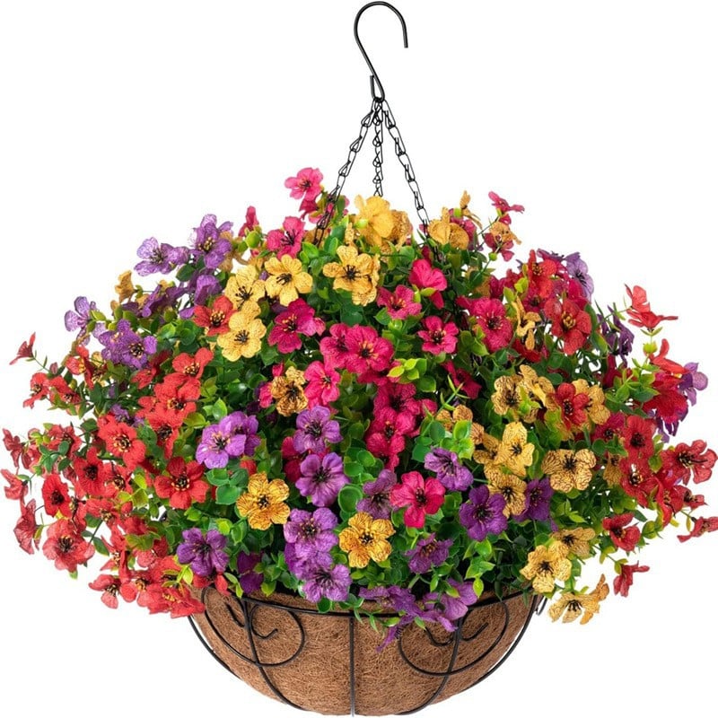 BUY 1 🌼20%OFF