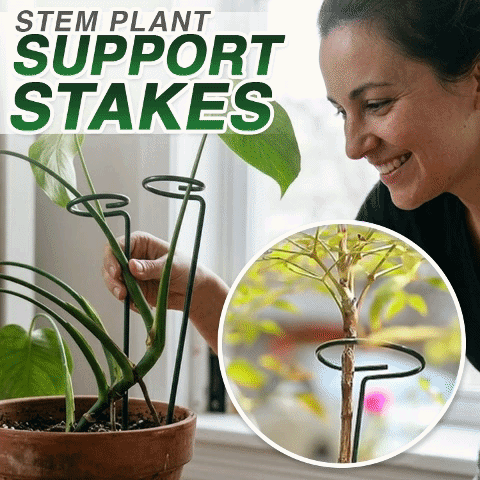 Avaleric® Stem Plant Support Stakes