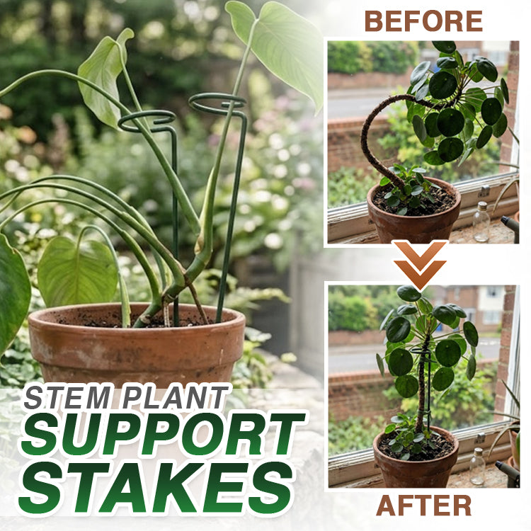 Avaleric® Stem Plant Support Stakes