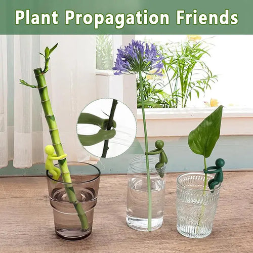 Avaleric® Plant of Friends Reproduction Support Growth Tool