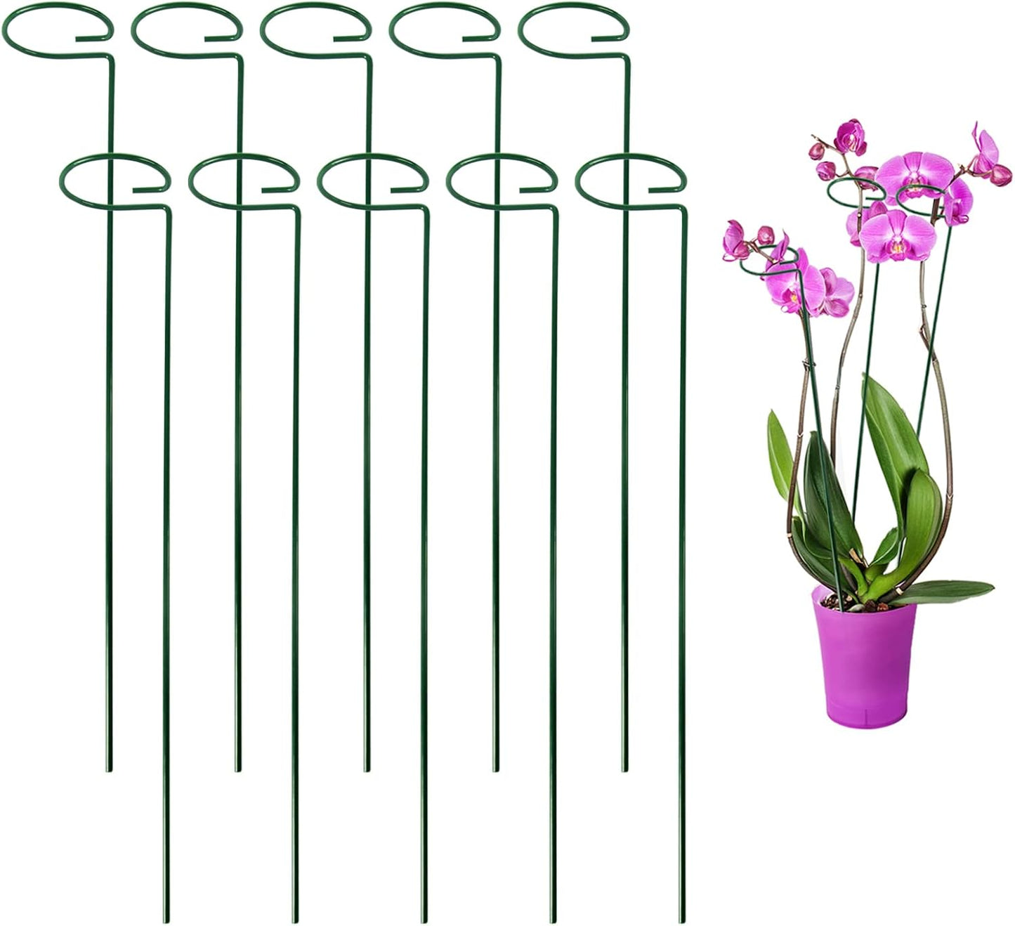 Avaleric® Stem Plant Support Stakes
