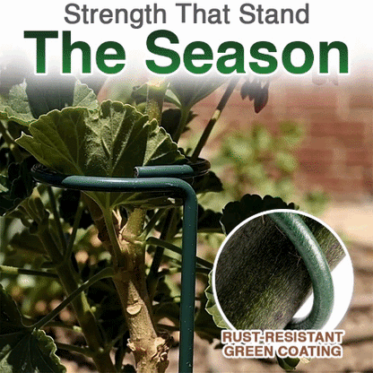 Avaleric® Stem Plant Support Stakes