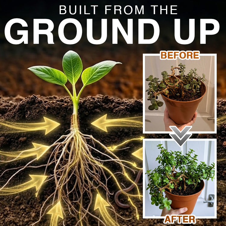 Avaleric® Phytovitamin Plant Rapid Growing Solution