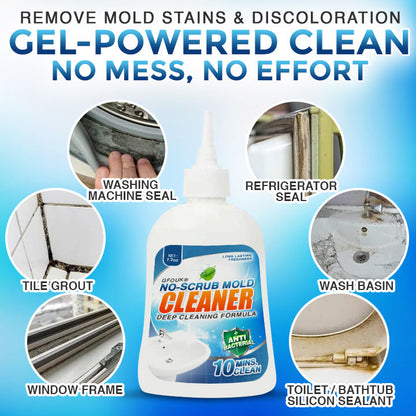 Avaleric® No-Scrub Mold Cleaner