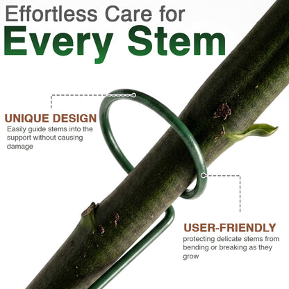 Avaleric® Stem Plant Support Stakes