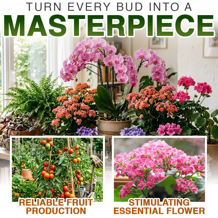 Avaleric® Phytovitamin Plant Rapid Growing Solution