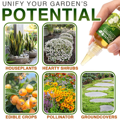 Avaleric® Phytovitamin Plant Rapid Growing Solution