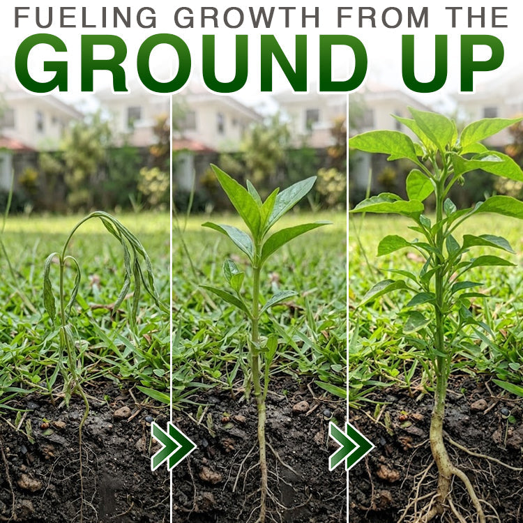 ✅ Avaleric® Plant Resurrection Liquid