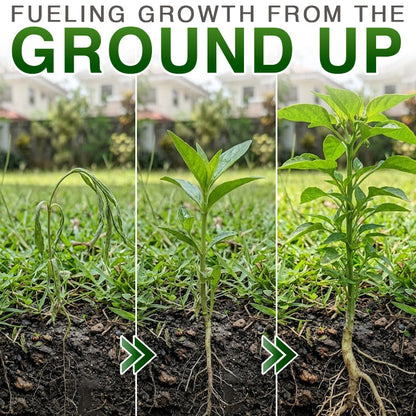 ✅ Avaleric® Plant Resurrection Liquid