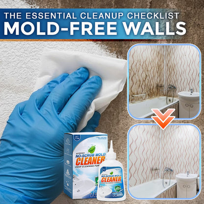 Avaleric® No-Scrub Mold Cleaner