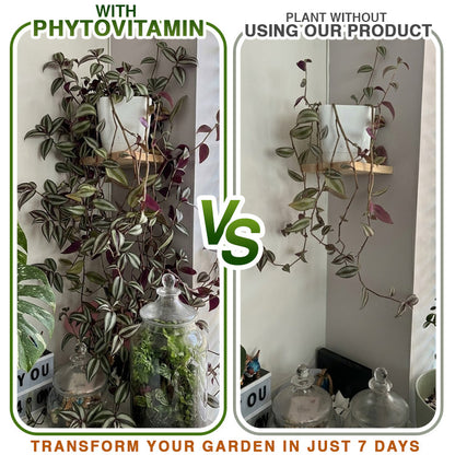 Avaleric® Phytovitamin Plant Rapid Growing Solution