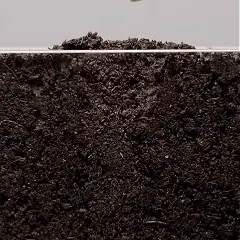 ✅ Avaleric® Phytovitamin Plant Rapid Growing Solution