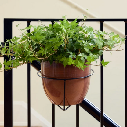 Avaleric® Floating Railing Planter - Plant Clip
