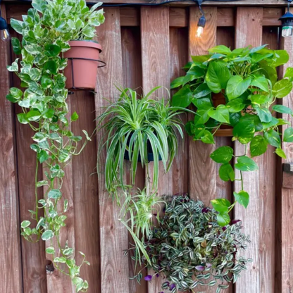 Avaleric® Floating Railing Planter - Plant Clip
