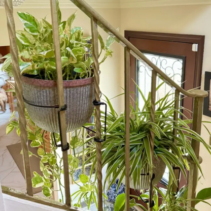 Avaleric® Floating Railing Planter - Plant Clip