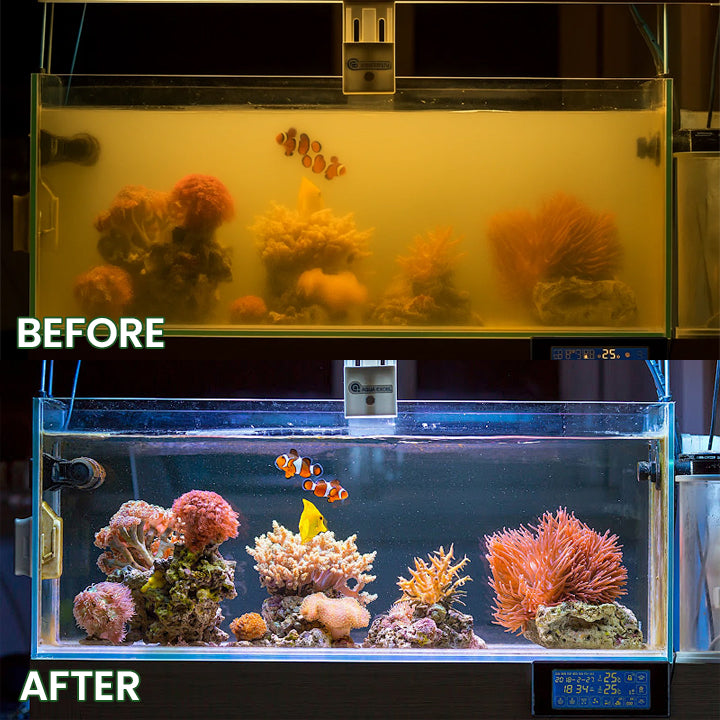 Avaleric® Powerful Aquarium Water Purification Tablet