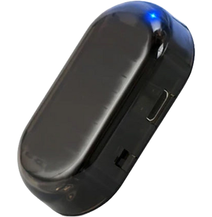 Avaleric® Anti-theft Car Flashing LED Fake Alarm