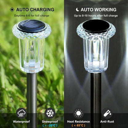 Avaleric® Solar Powered Outdoor Light Kit