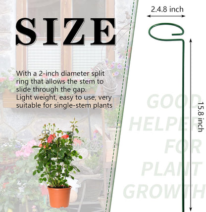 Avaleric® Stem Plant Support Stakes