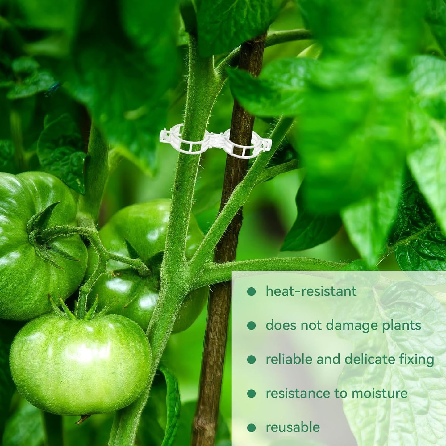 Avaleric® Plant Support Clips