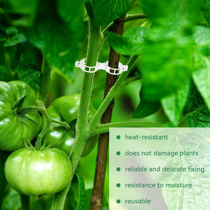 Avaleric® Plant Support Clips