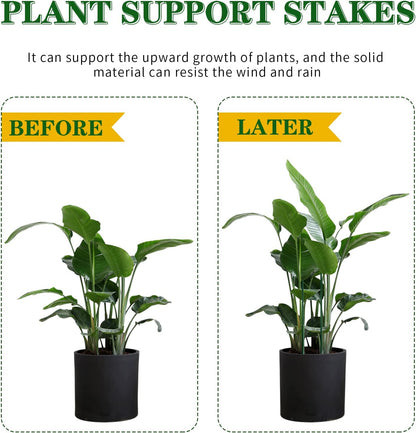 Avaleric® Stem Plant Support Stakes