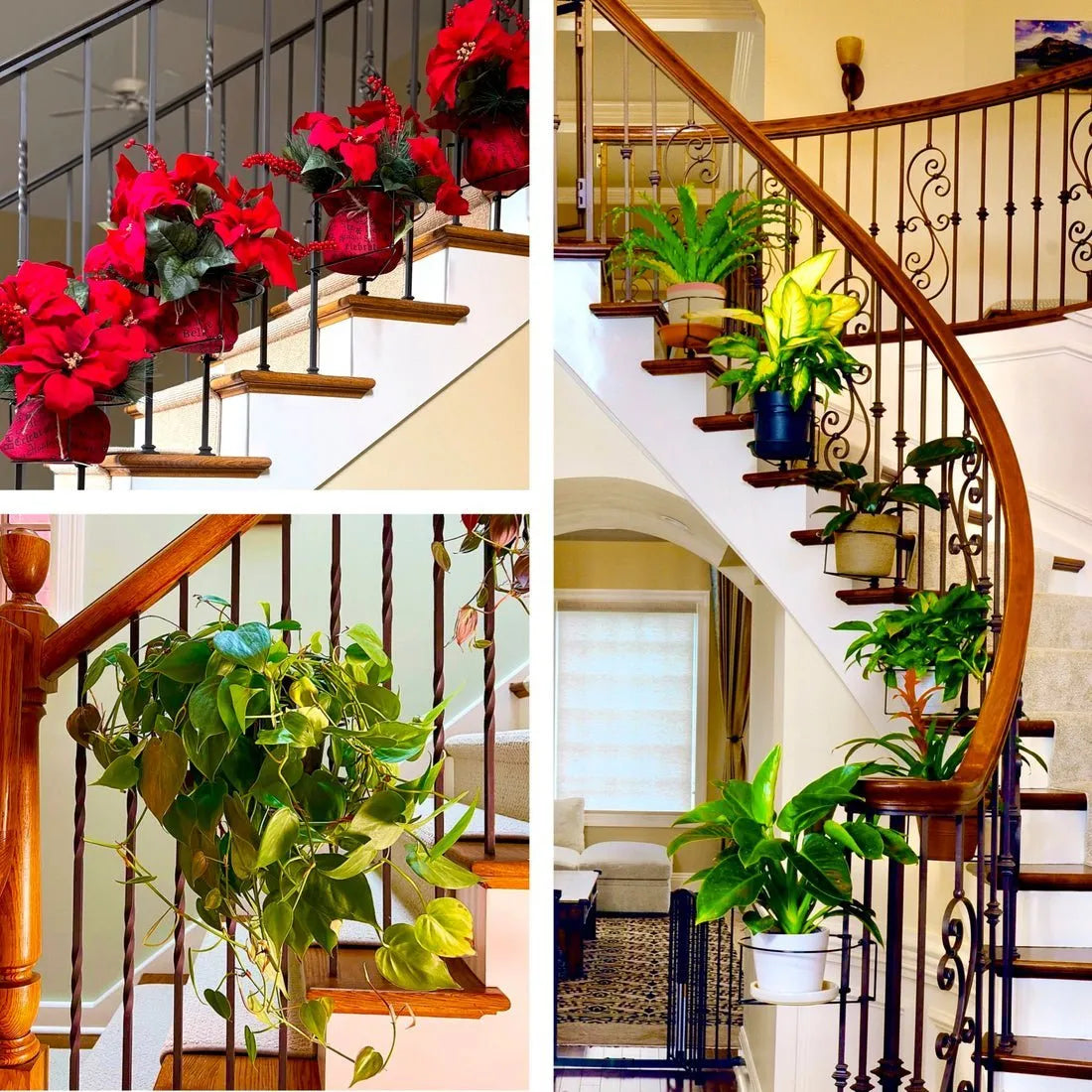 Avaleric® Floating Railing Planter - Plant Clip